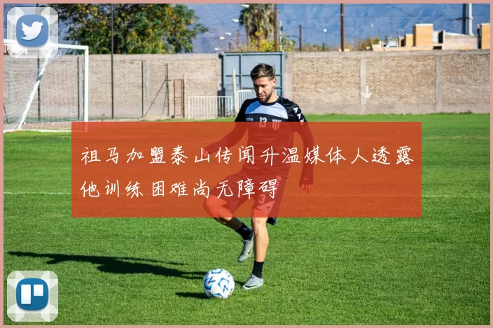 祖马加盟泰山传闻升温媒体人透露他训练困难尚无障碍